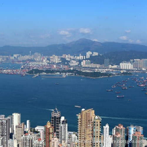 Professional Advocates Law Firm in Chongqing